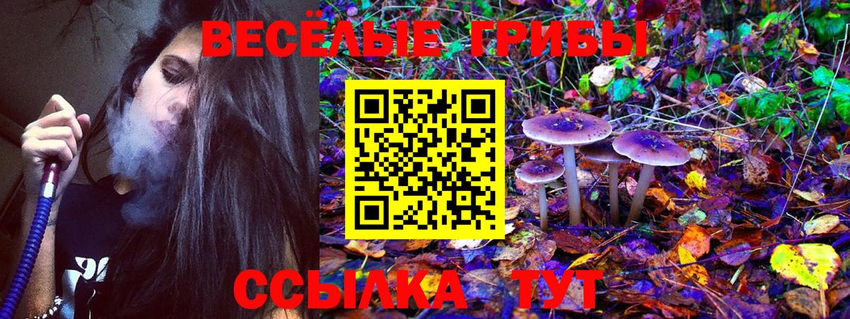 Псилоцибиновые грибы MAGIC MUSHROOMS Апшеронск